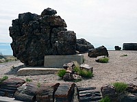 Giant logs FP (7).JPG